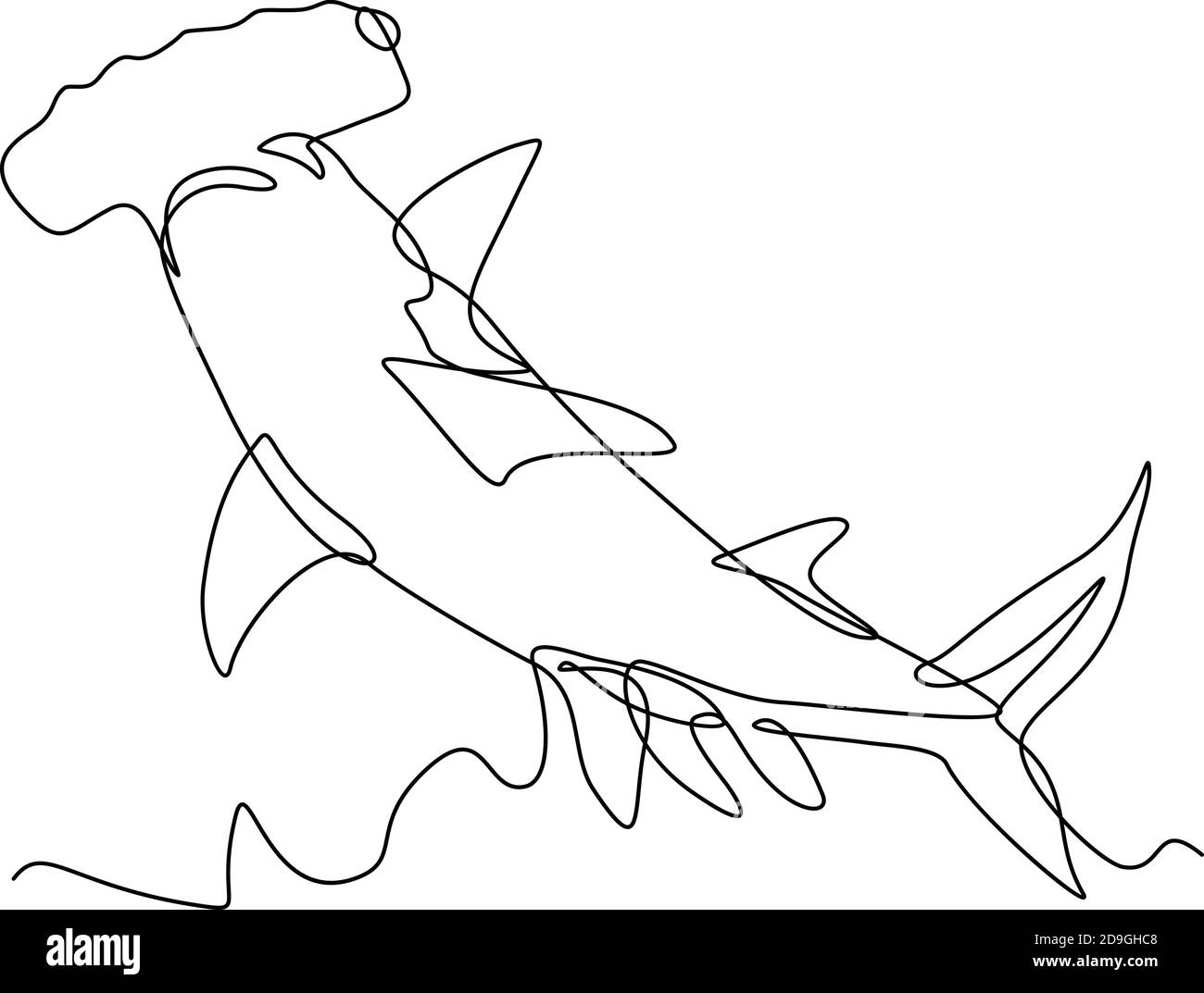 Illustrazione a linea continua di una testa di martello scalpellata Sphyrna lewini, una specie di squalo di testa di martello, e parte della famiglia Sphyrnidaeon visto da Illustrazione Vettoriale