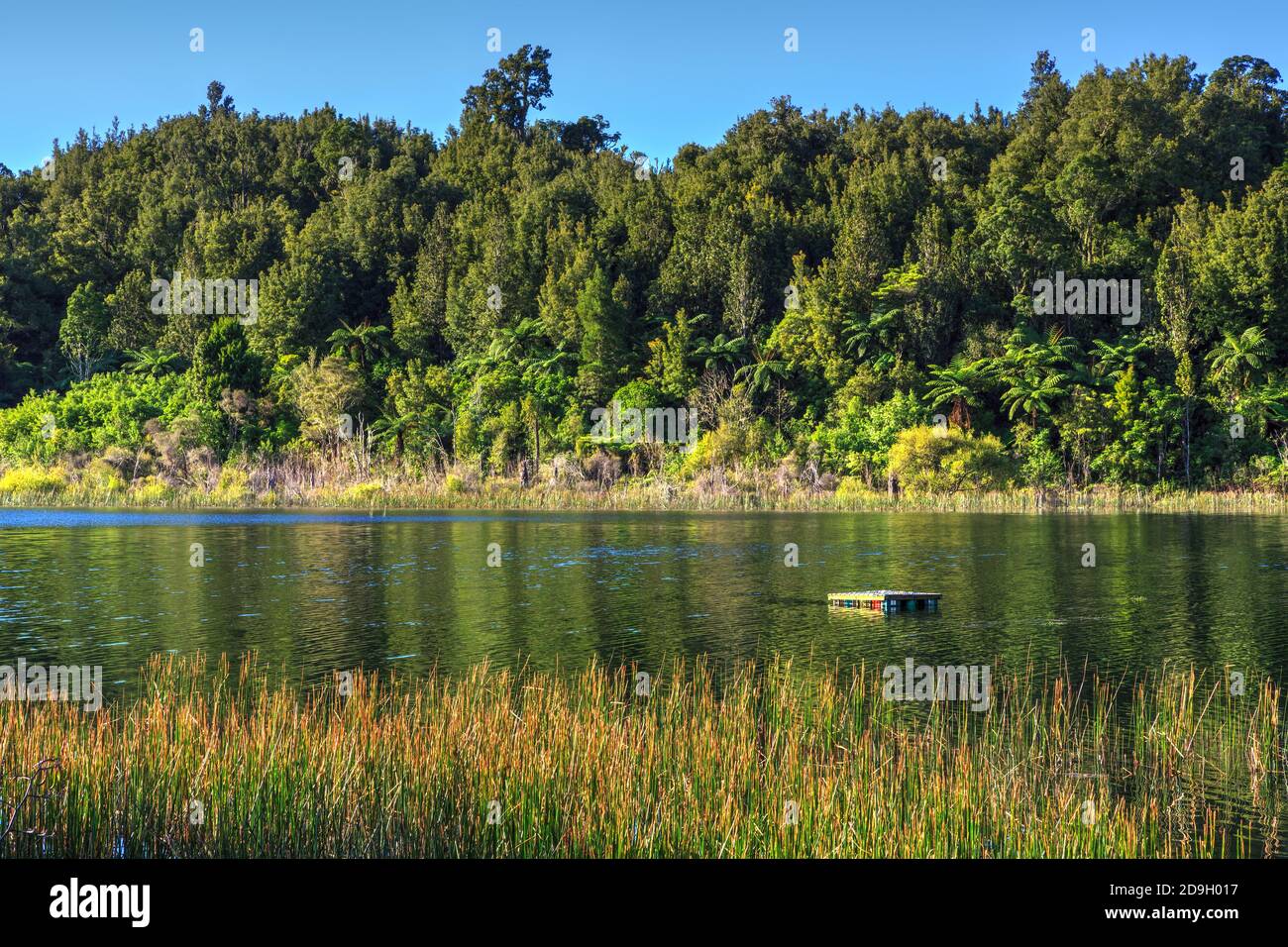 Lago Rotoma, Nuova Zelanda, circondato da foresta nativa. Una piccola zattera galleggia sull'acqua Foto Stock