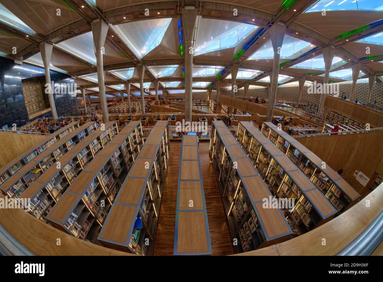 La Bibliotheca Alexandrina è trilingue e contiene libri in arabo classico, inglese e francese. Nel 2010, la biblioteca ha ricevuto una donazione di 500, Foto Stock
