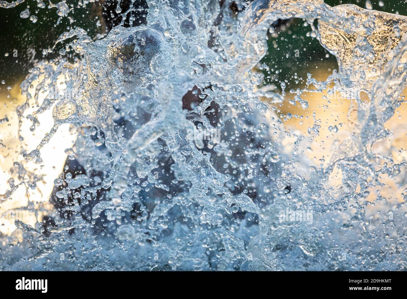 Hippo spruzzi d'acqua con gocce che volano nell'aria Kruger Park in Sud Africa Foto Stock