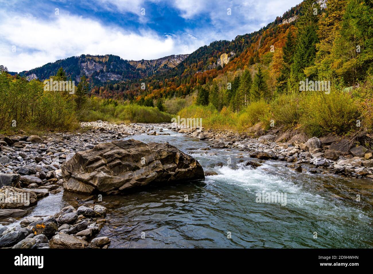 Der Bergbach fliesst durch den bunten Herbstwald. Il ruscello di montagna scorre attraverso la colorata foresta autunnale. Mellau, Bregenzerwald, Austria Foto Stock