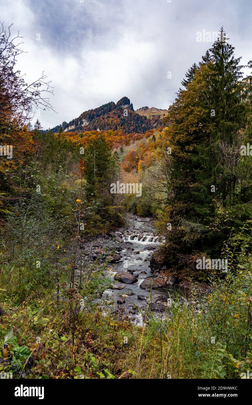 Der Bergbach fliesst durch den bunten Herbstwald. Il ruscello di montagna scorre attraverso la colorata foresta autunnale. Mellau, Bregenzerwald, Austria Foto Stock