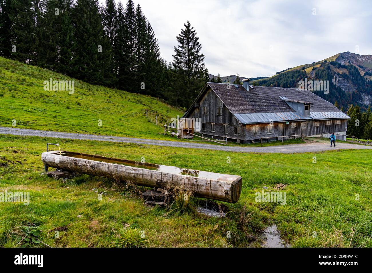 Alphütten im Bregenzerwald, rifugi alpini nella foresta di Bregenz, Herbstwanderung, sulla strada tra le montagne, Vorarlberg, Mellental, Mellau, Austria Foto Stock