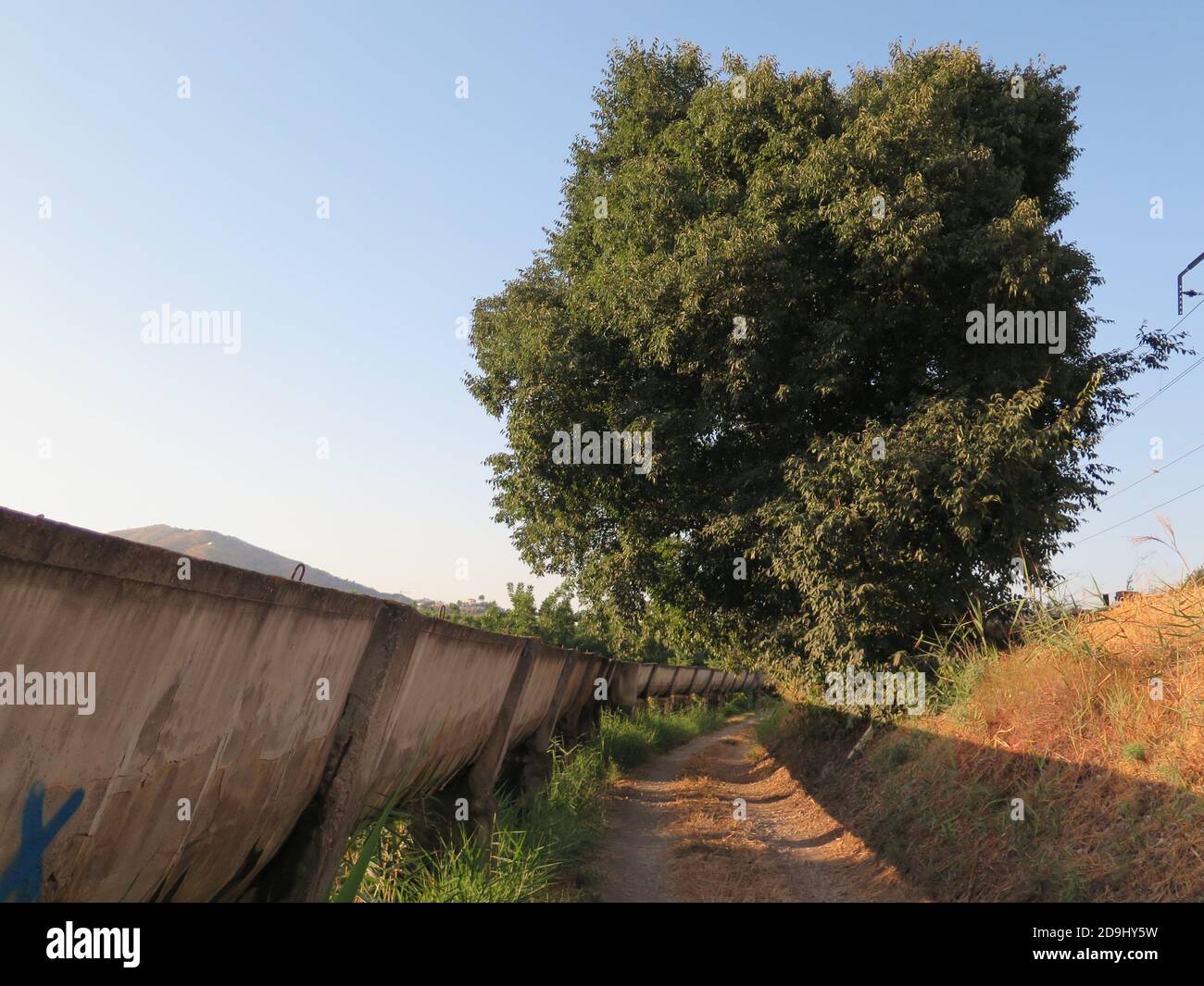 Calcestruzzo elevata canale irrigatorio avvolgimento attraverso campagna vicino a Alora, Andalusia Foto Stock