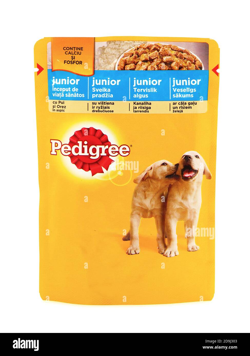 pedigree junior