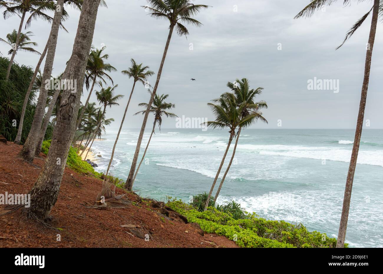 Mirissa Coconut Tree Hill è una delle migliori destinazioni turistiche nella provincia meridionale, vista laterale orizzonte oceano Foto Stock