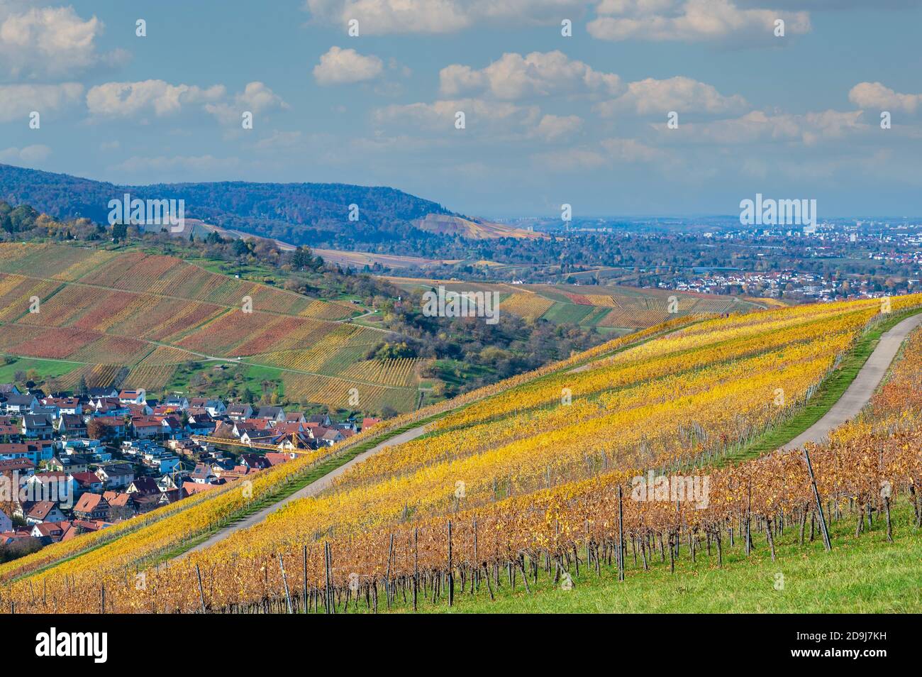 Struempfelbach - vigneti nella regione di Weinstadt - bellissimo paesaggio in autum vicino a Stoccarda, Baden-Wuerttemberg, Germania Foto Stock