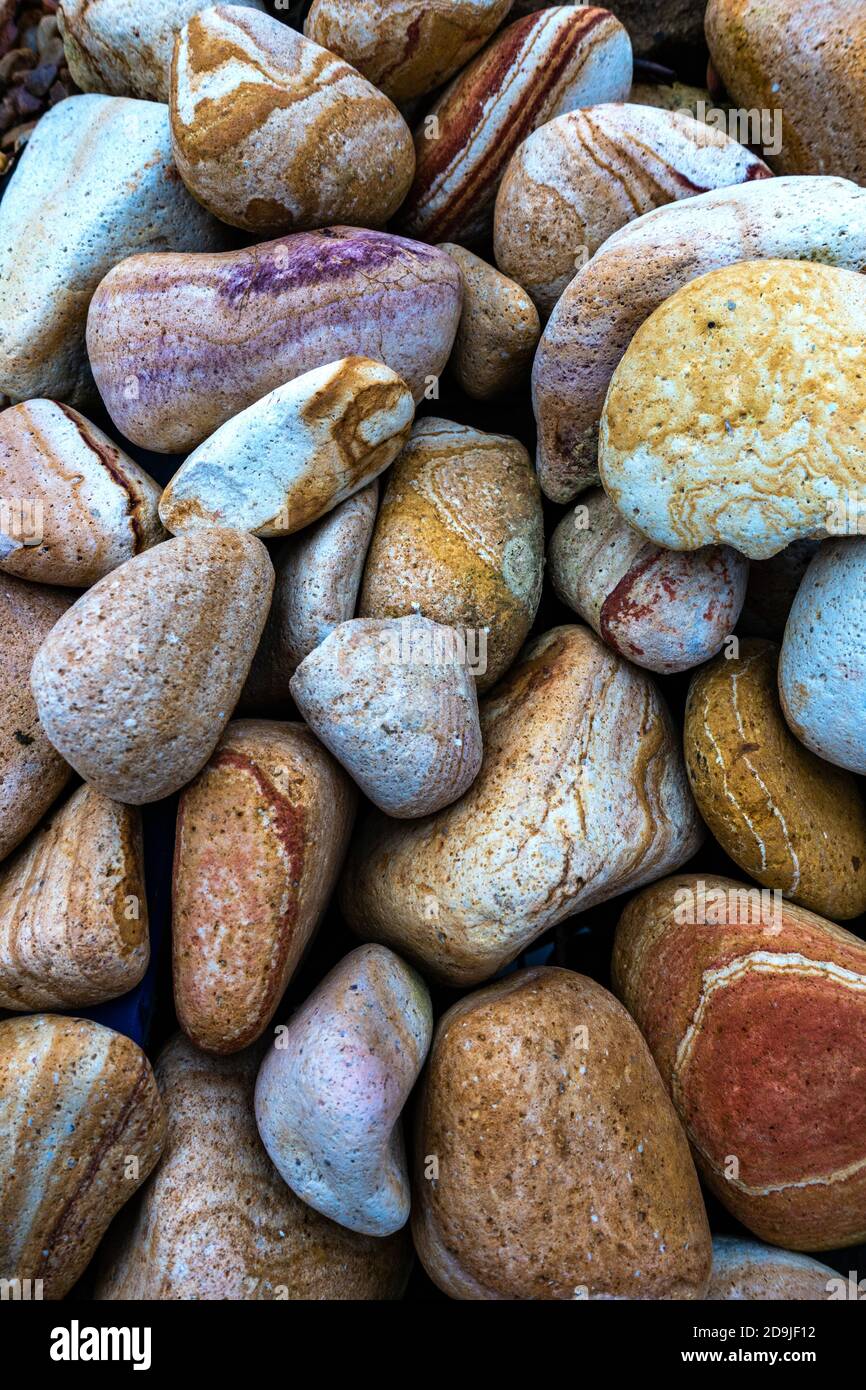 Raccolta di ciottoli lavati in mare Foto Stock