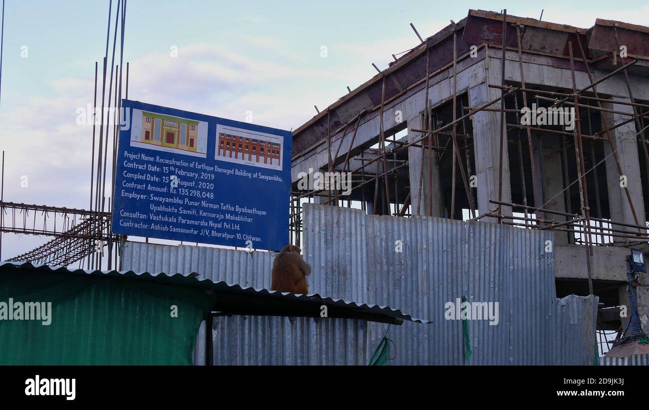 Kathmandu, Nepal - 11/29/2019: Scimmia seduta di fronte a un cartello blu che informa sui lavori di ricostruzione dopo il disastroso terremoto del 2015. Foto Stock