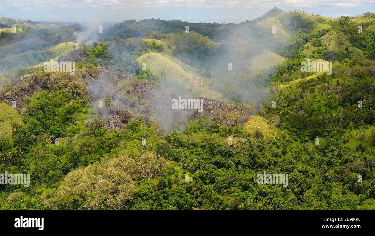 Fuoco di foresta in montagna. Fuoco su colline con vegetazione tropicale. Utilizzare il fuoco per distruggere l'habitat naturale e causare danni ambientali su larga scala in Asia. Bohol, Filippine. Foto Stock