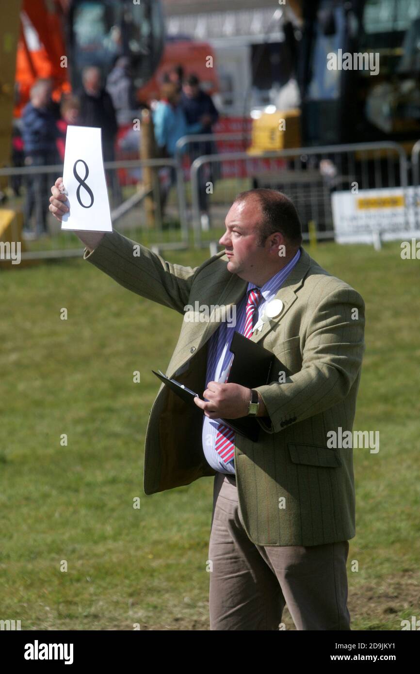 Ayr Agricultural Cattle Show, Ayrshire Scotland. Regno Unito tenuto all'ippodromo di Ayr. La mostra annuale comprende bestiame e concorsi. Un evento annuale molto atteso per la comunità agricola di riunirsi. Lo spettacolo si chiude con una mostra e una processione di animali e bestie premiati, tra cui cavalli, bestiame, capra, pecore con il premio finale del campione di campioni Foto Stock