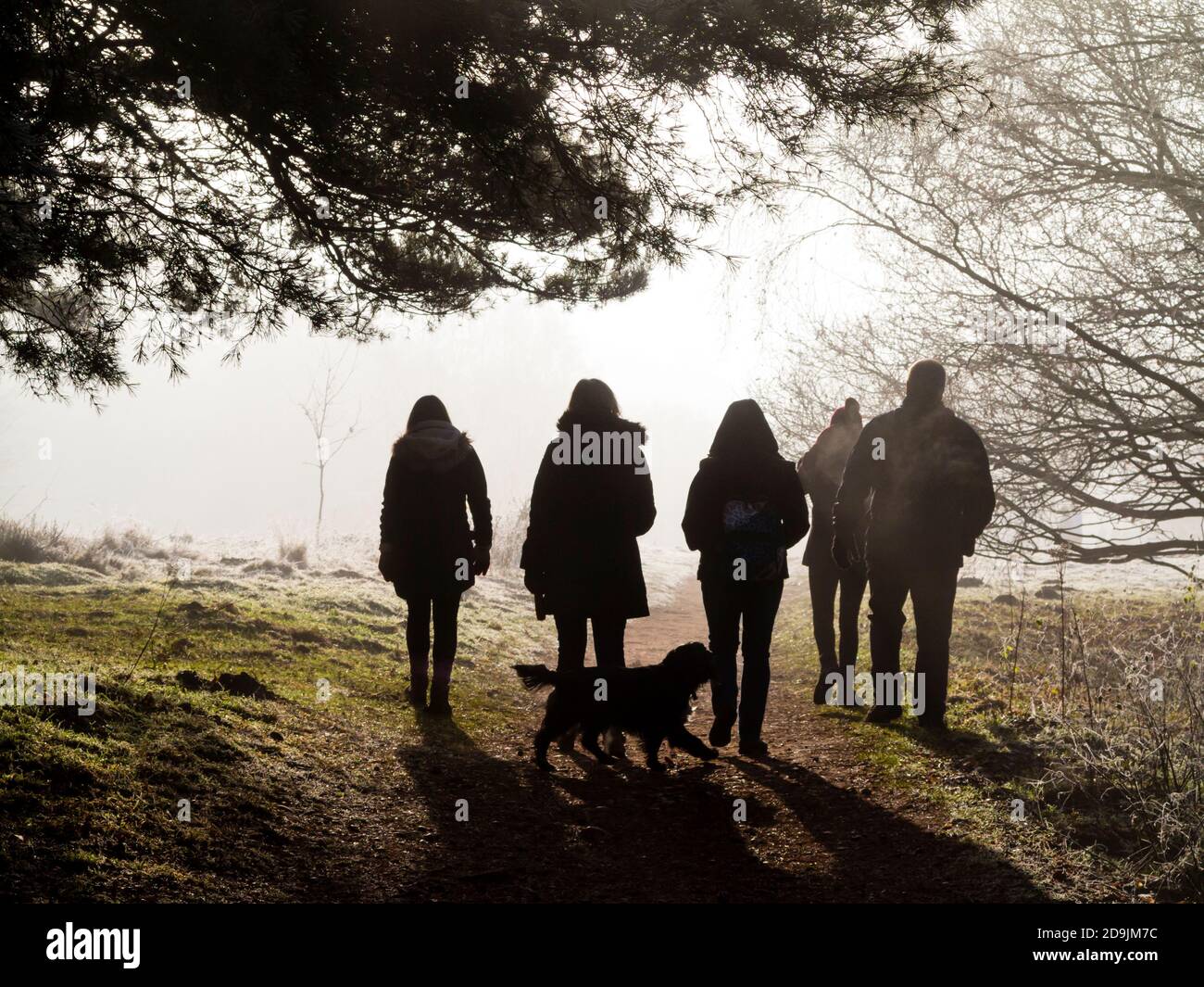 Gruppo di persone che si godono una passeggiata invernale al sole luminoso con il gelo sul terreno e gli alberi. Foto Stock