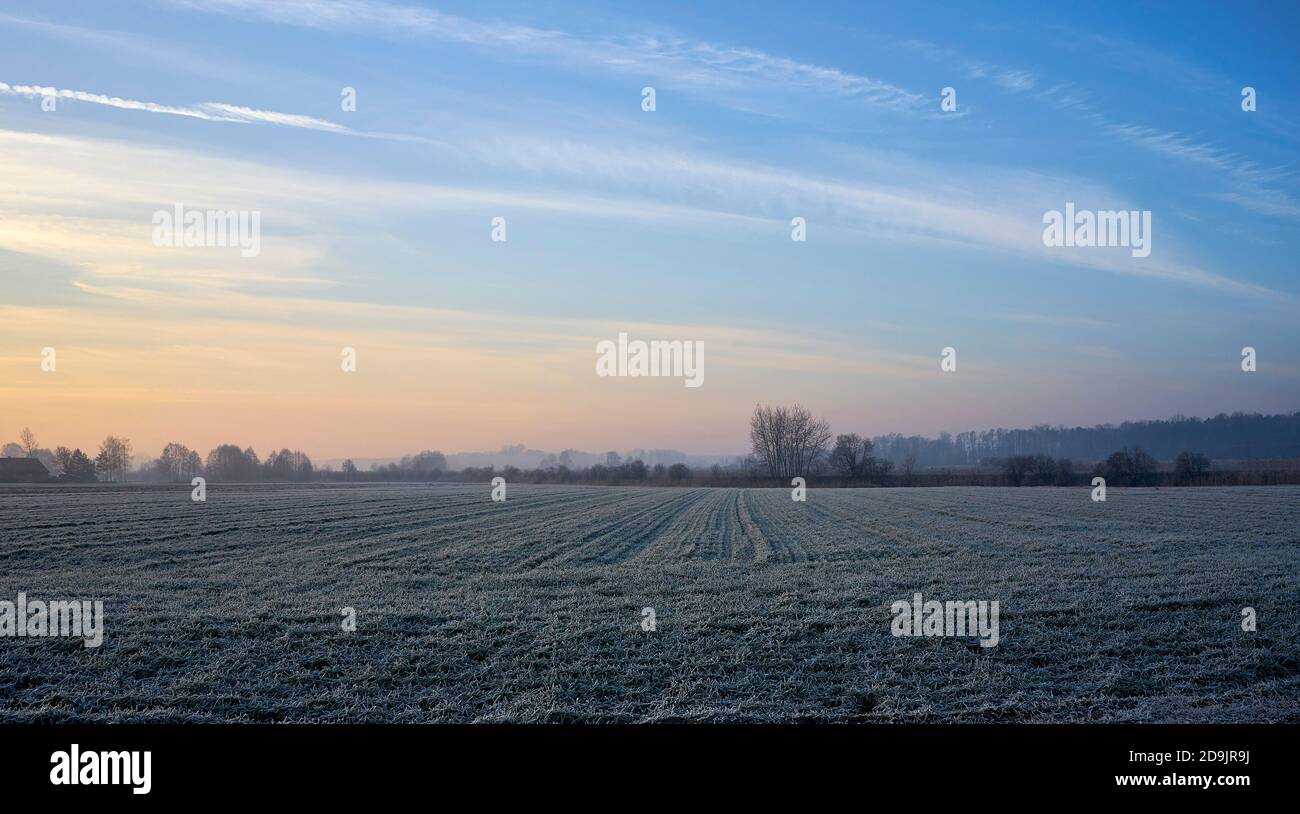 mattina gelata in campagna, campi ghiacciati Foto Stock