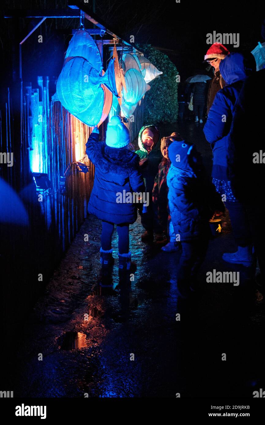 I bambini si divertano con le lanterne tropicali nonostante il tempo invernale All'evento The Lantern dello zoo di Chester Foto Stock