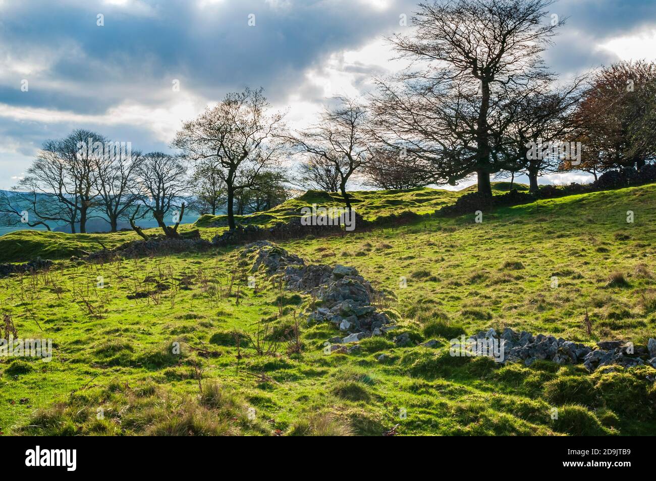 Vista illuminata dal sole delle collinette e degli alberi della miniera di piombo di Watts Grove vicino a Castleton, Derbyshire, visibile attraverso gli alberi. Foto Stock