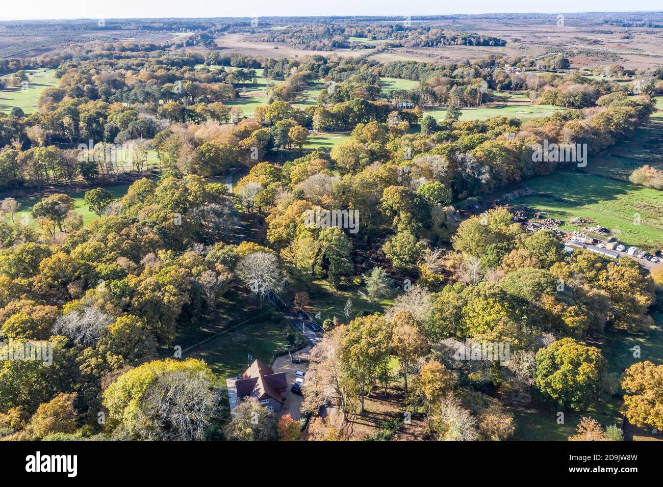 Drone foto aeree Hampshire Forest, che mostra i livelli di forestazione Foto Stock