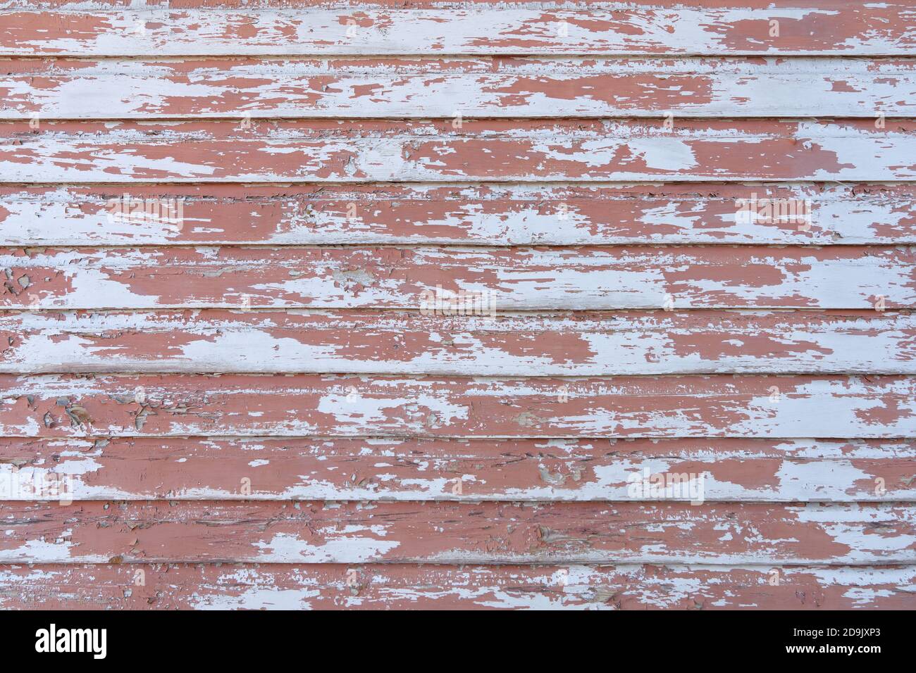 Vecchio, pesantemente intemperie, crepuscolo muro di legno rosa Foto Stock Vecchio, pesantemente intemperie, crepuscolo muro di legno rosa Foto Stock