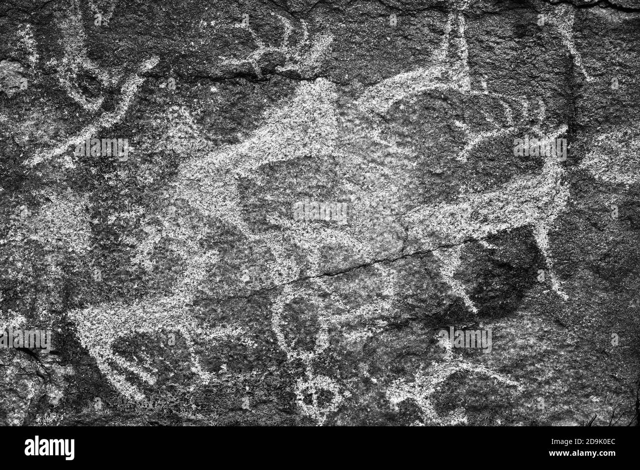 Dipinti rupestri di persone antiche. Immagine di antichi cacciatori con cervi sulle pareti, arte antica, storia, archeologia Foto Stock