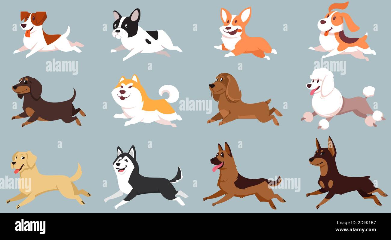 Cani in corsa di razze diverse. Grande set di animali domestici carini. Illustrazione Vettoriale