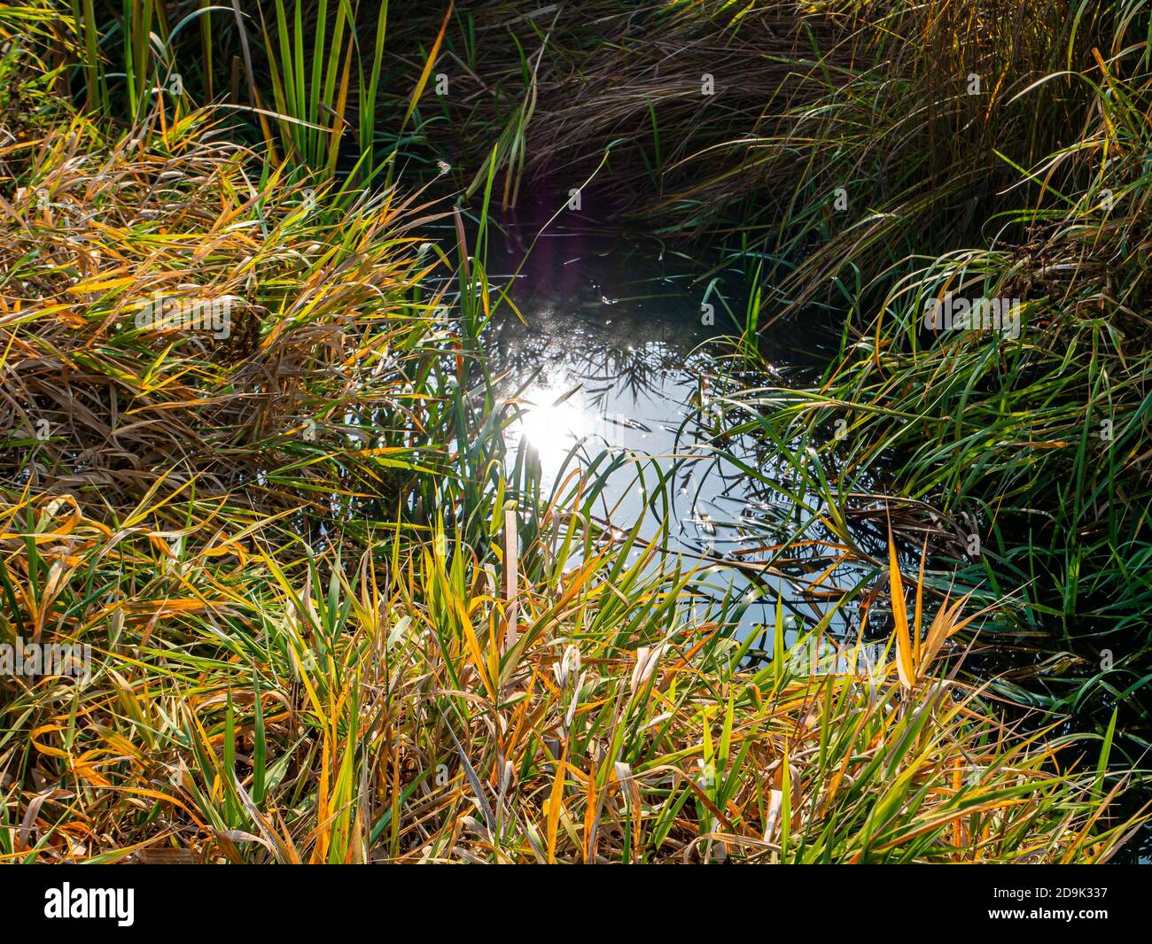 Il sole si riflette nell'acqua di un serbatoio naturale. Foto Stock