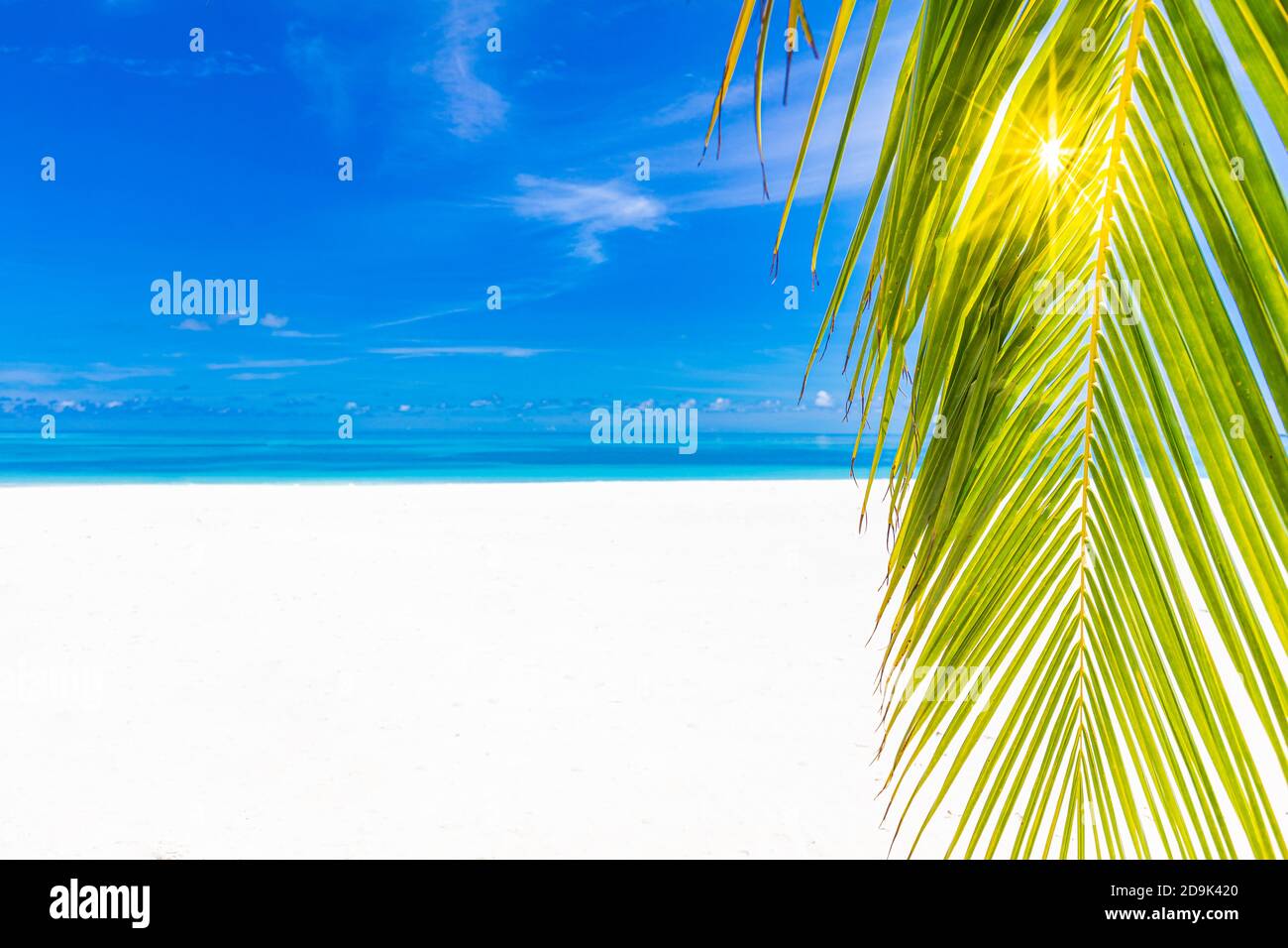 Spiaggia di palme e tropicali, tranquillo paesaggio naturale. Mare, sabbia bianca vicino al mare sotto il cielo blu. Splendido paesaggio estivo Foto Stock