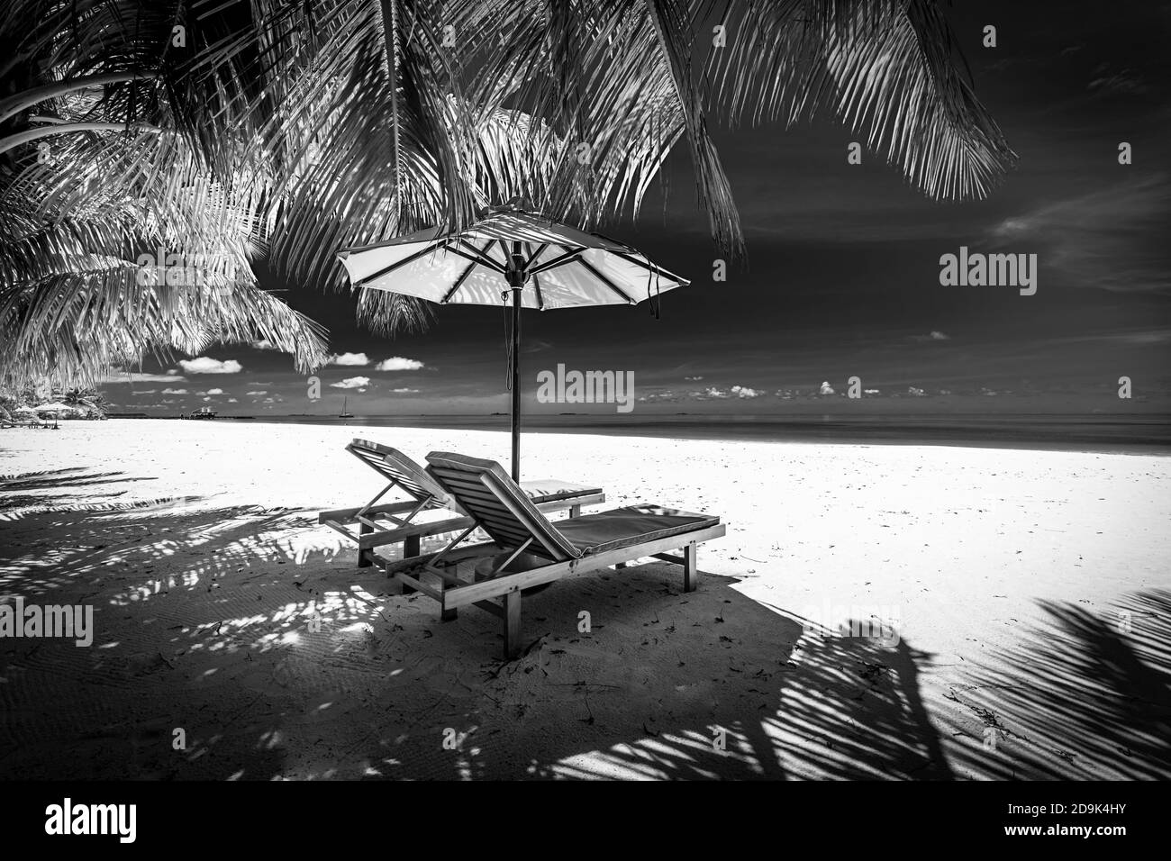 Paesaggio artistico bianco e nero di paradiso tropicale spiaggia, sedie e ombrello sotto foglie di palma. Scenario tropicale monocromatico, incredibile editing fotografico Foto Stock