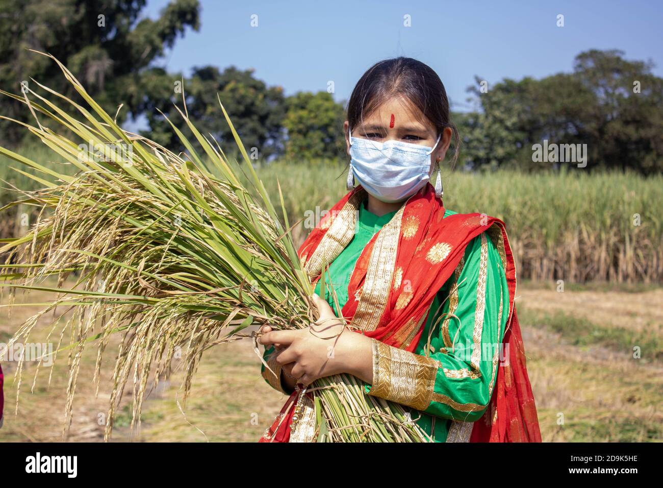 Ragazza indiana che tiene in mano il risone pandemico Corona. L'India è uno dei maggiori produttori di riso al mondo. Foto di alta qualità Foto Stock