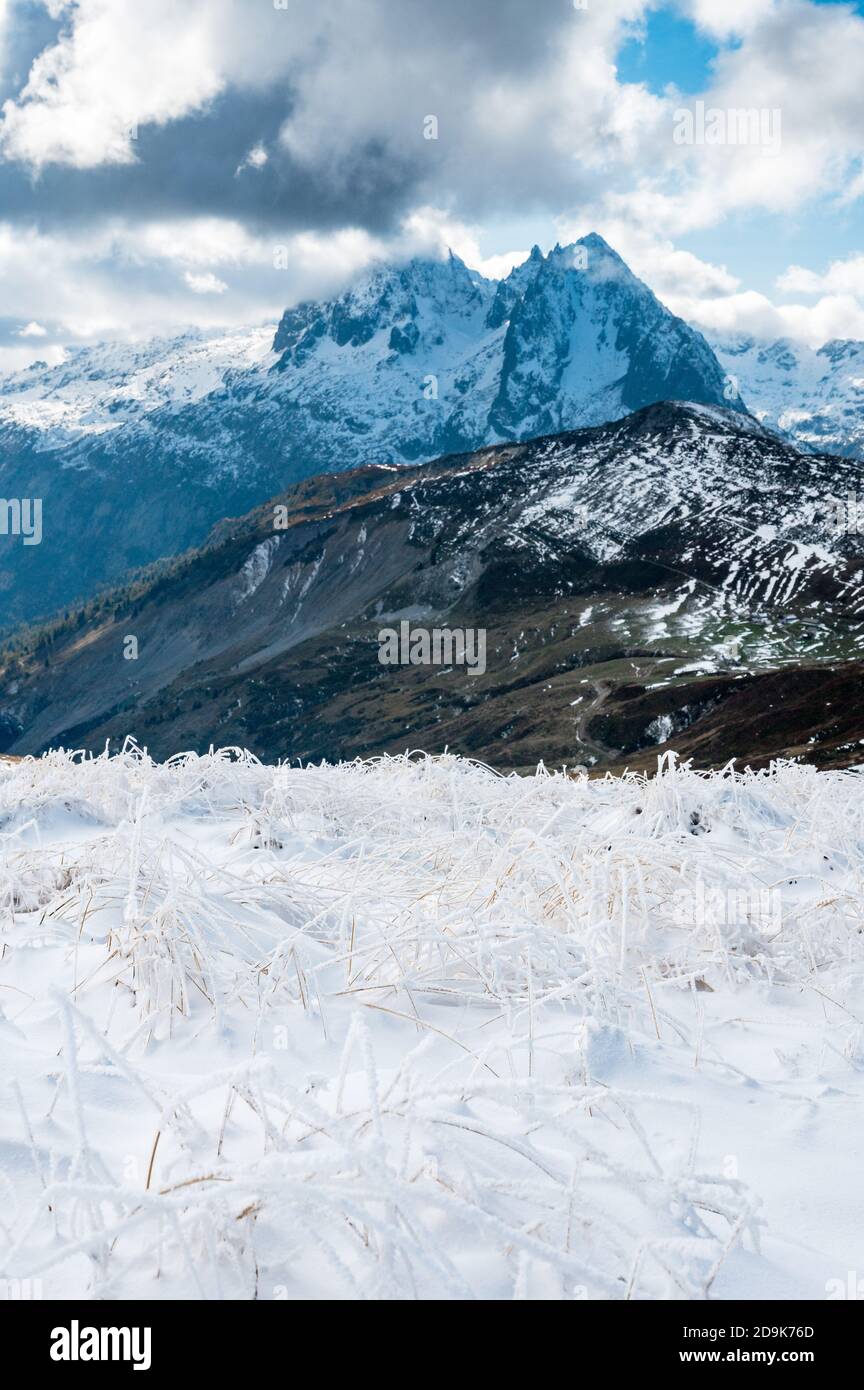 Erba surgelata sul col de Balme a Vallée du Trient, Vallese Foto Stock