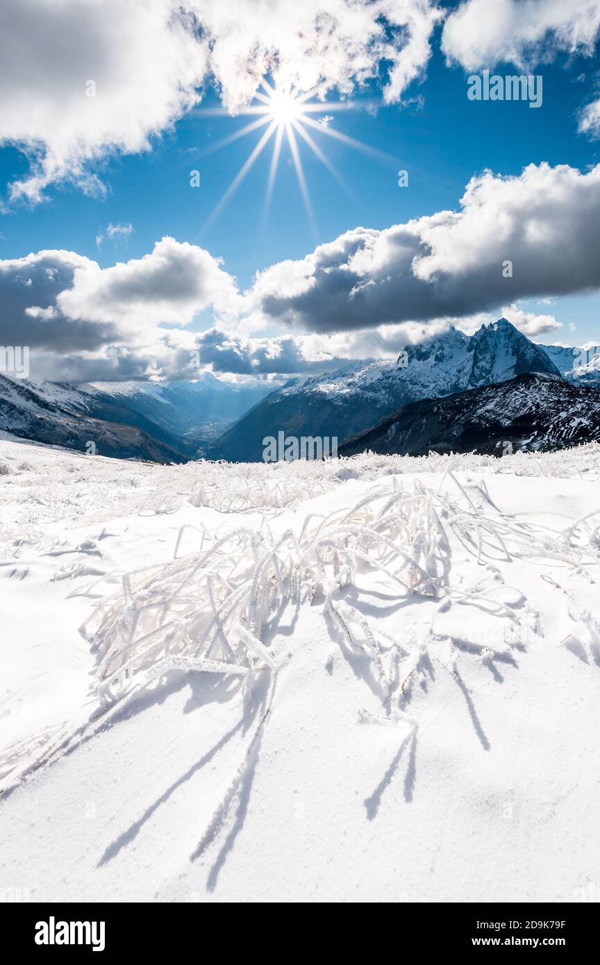 Erba surgelata sul col de Balme a Vallée du Trient, Vallese Foto Stock