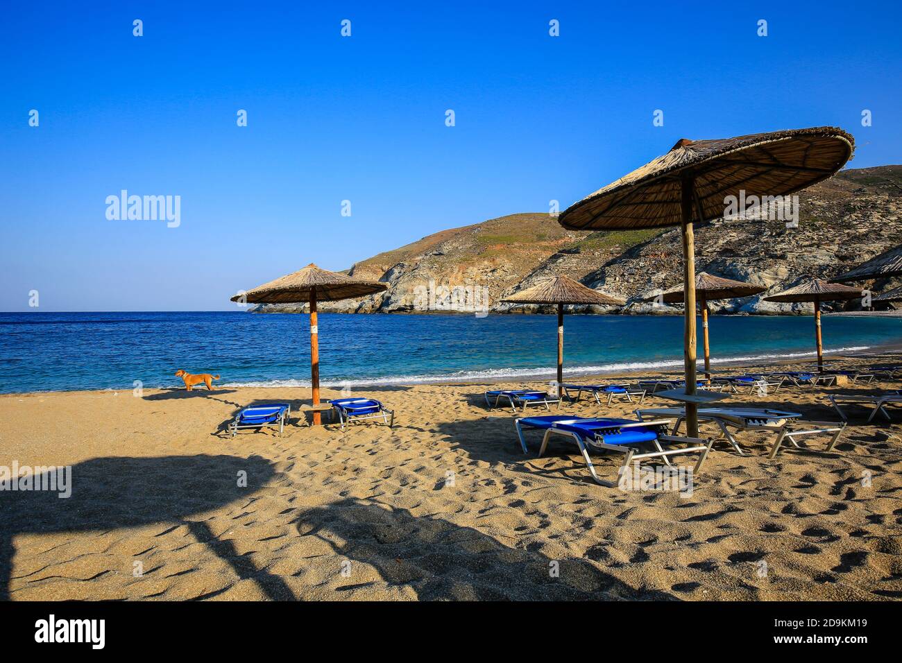 Isola di Andros, Cicladi, Grecia - lettini e ombrelloni sulla spiaggia di Ormos Zorkou, a nord dell'isola. Foto Stock