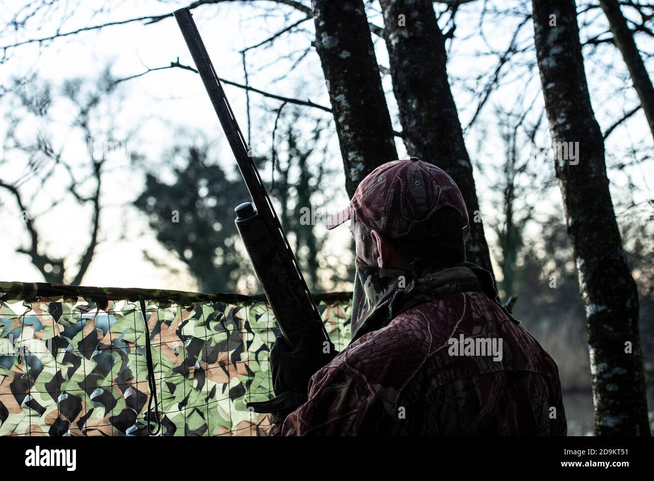 wildfowling per anatre in serata Foto Stock