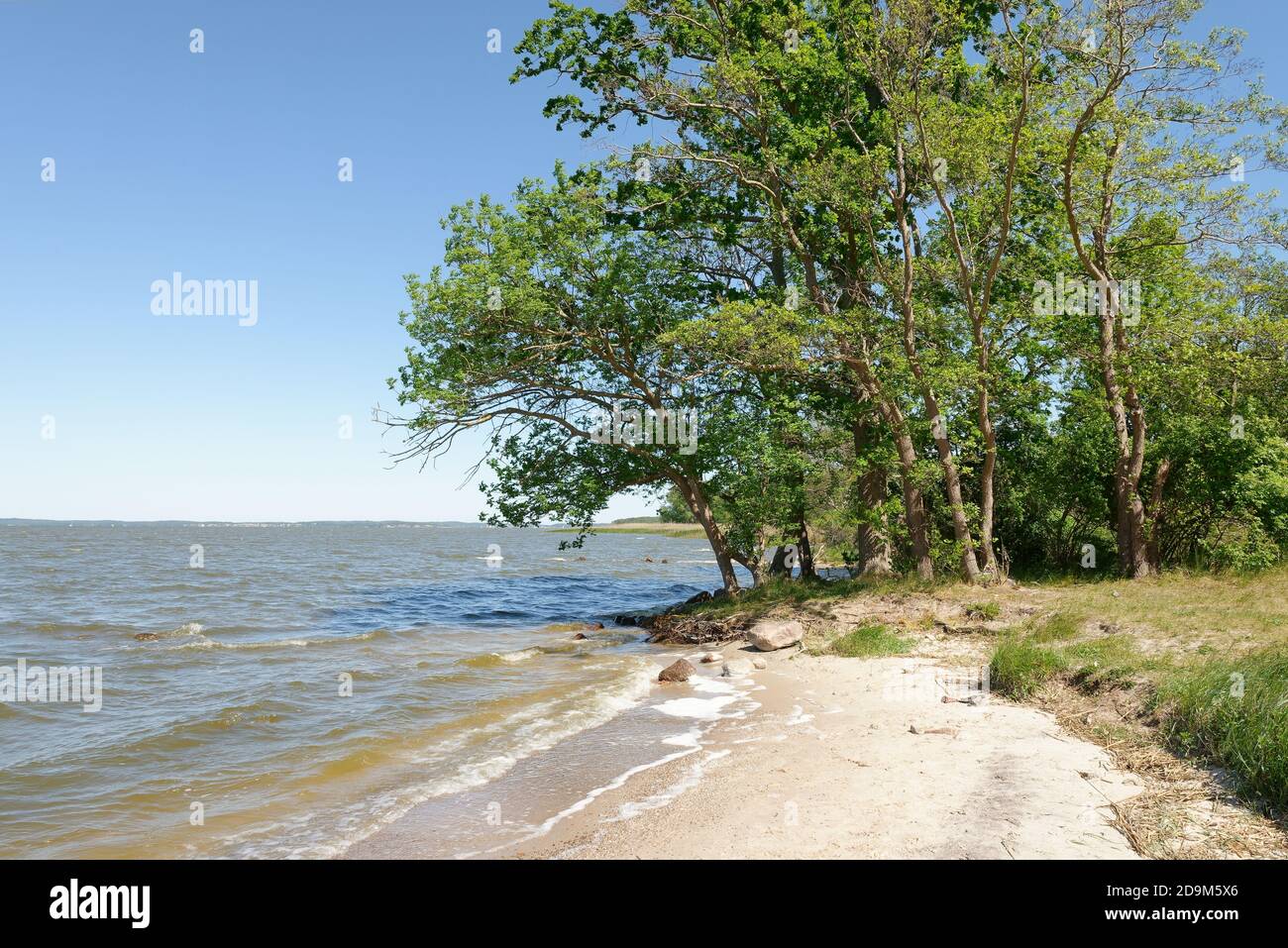Acqua di ritorno a Lieper Winkel, Lieper Winkel, Usedom Island, Mar Baltico, Meclemburgo-Pomerania occidentale, Germania Foto Stock