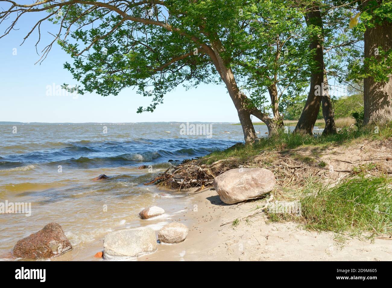 Acqua di ritorno a Lieper Winkel, Lieper Winkel, Usedom Island, Mar Baltico, Meclemburgo-Pomerania occidentale, Germania Foto Stock
