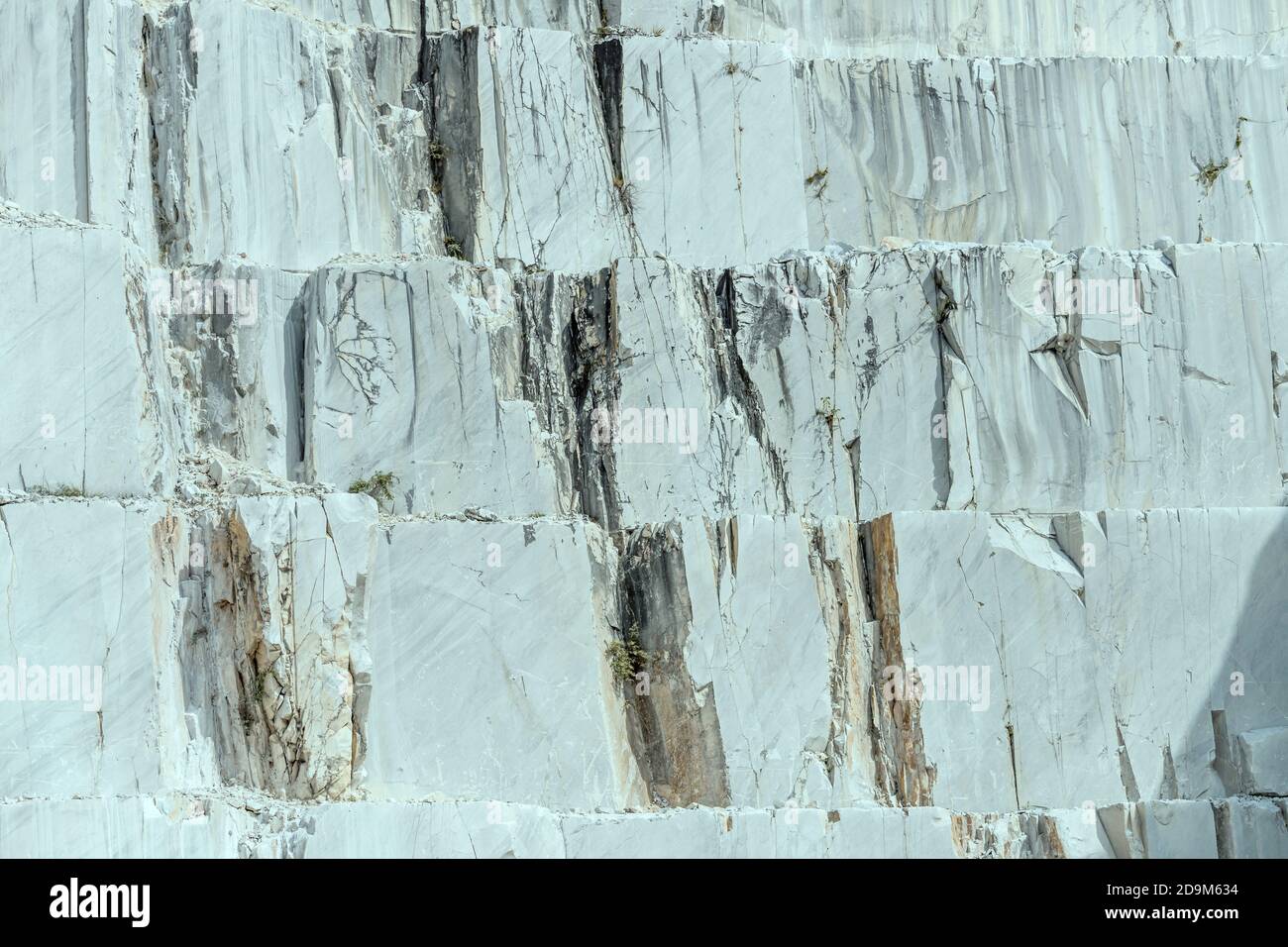 Particolare di marmo venato su superficie verticale in cava di marmo bianco, sparato in luminosa luce vicino a Carrara, Apuane, Toscana, Italia Foto Stock