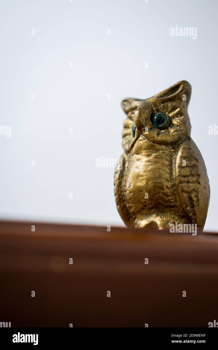 Gufo d'oro per la decorazione a casa con uno sfondo bianco Foto Stock