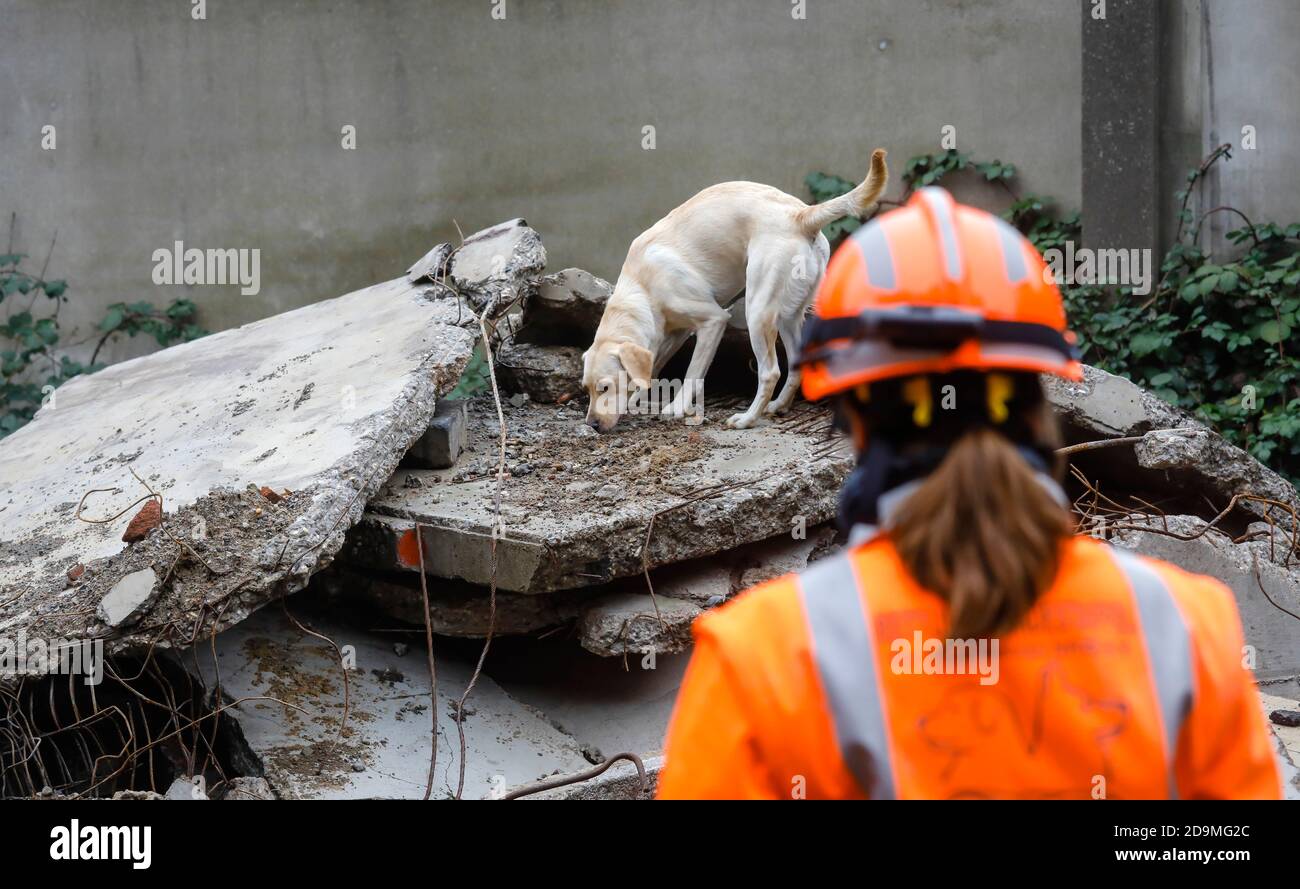 Addestramento del cane di salvataggio, i cani di rilevamento pratica la ricerca di persone sepolte, Herne, Nord Reno-Westfalia, Germania Foto Stock