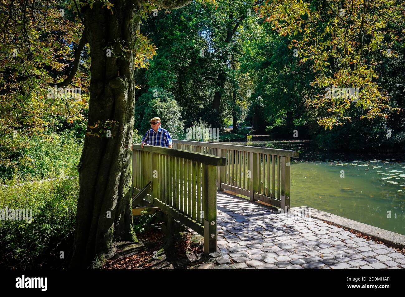Essen, Renania Settentrionale-Vestfalia, Ruhr Area, Germania, qui un anziano nel Parco del Castello di Borbeck, fotografato in occasione della capitale verde d'Europa di Essen 2017. Foto Stock