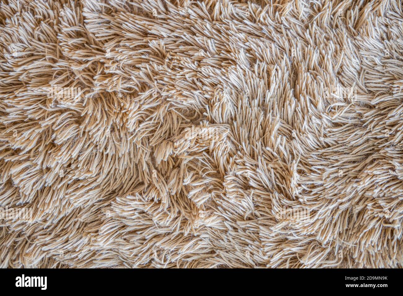 fondo morbido tessuto di lana, lana di cotone, lana animale naturale  chiaro, trama ravvicinata di soffice pelliccia bianca, lana con tono beige,  pelliccia con un delicato Foto stock - Alamy