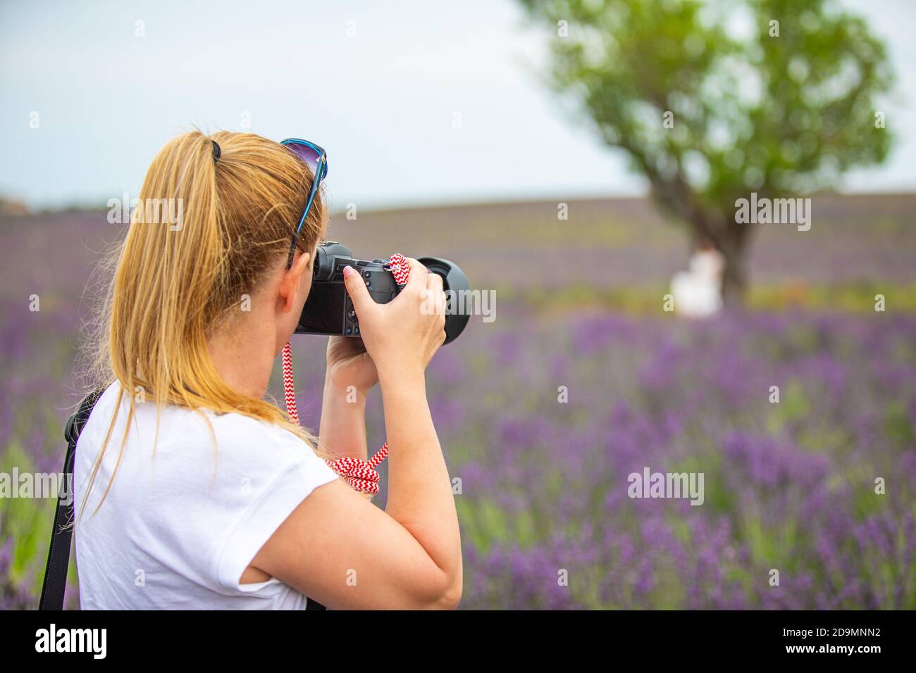 Donna con fotocamera sul campo. Ragazza che scatta foto nel campo dei fiori di lavanda. Paesaggio naturale idilliaco, fotografo di viaggio Foto Stock