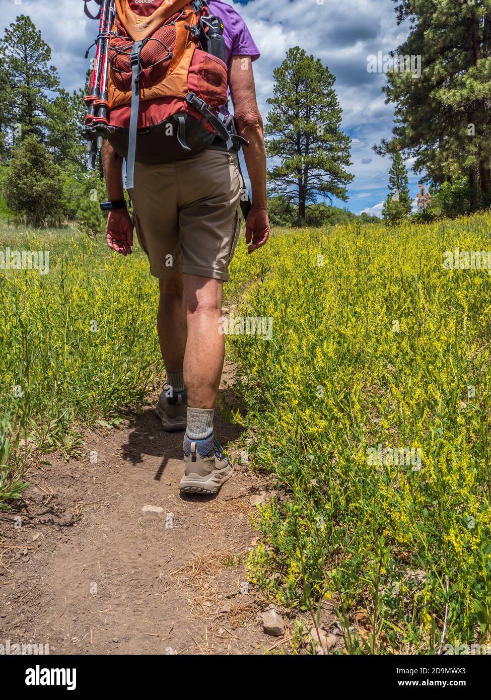 La donna cammina lungo il Black Bear Trail, il Mancos state Park, Mancos, Colorado. Foto Stock
