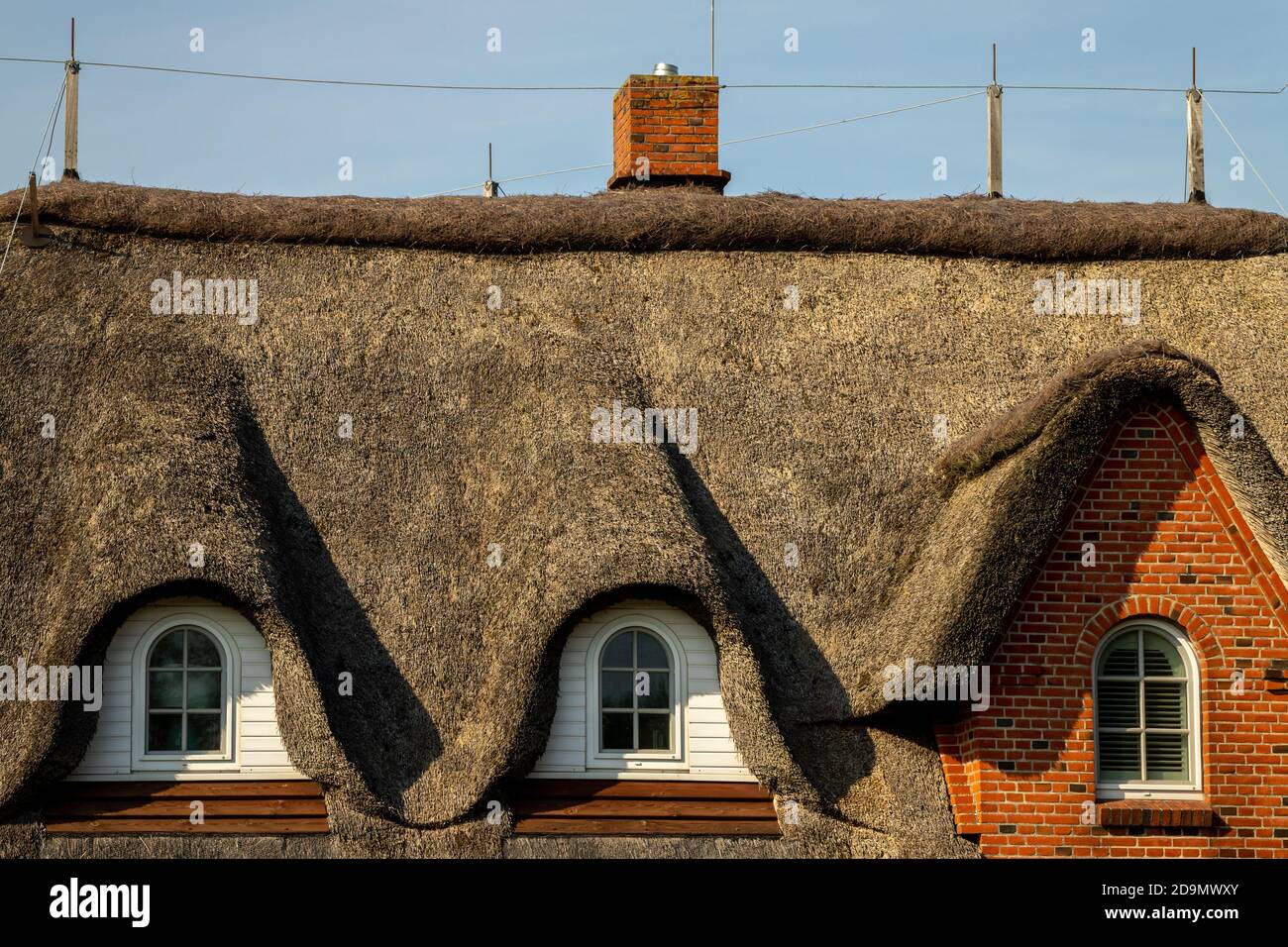 Tetto di paglia, tetto di paglia, con tetto di paglia nel Nord della Germania, primo piano Foto Stock