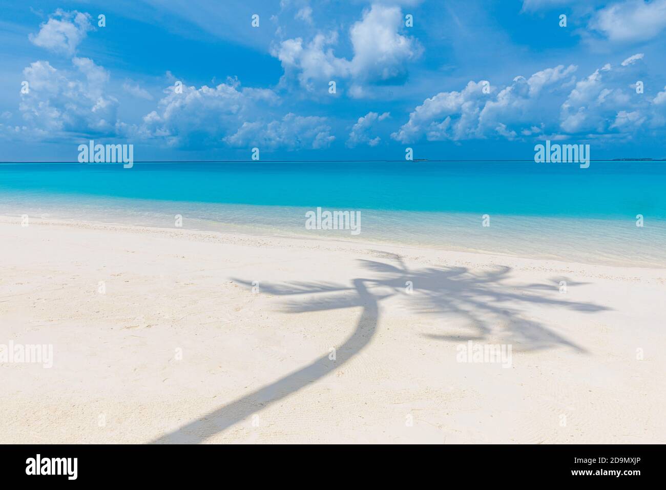 Paesaggio artistico tropicale spiaggia, palme foglie ombra. Sorprendente stagcape, esotica natura modello. Paradiso astratto costa isola, tempo soleggiato Foto Stock