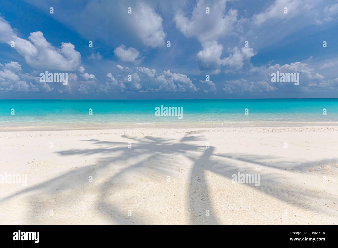 Paesaggio artistico tropicale spiaggia, palme foglie ombra. Sorprendente stagcape, esotica natura modello. Paradiso astratto costa isola, tempo soleggiato Foto Stock