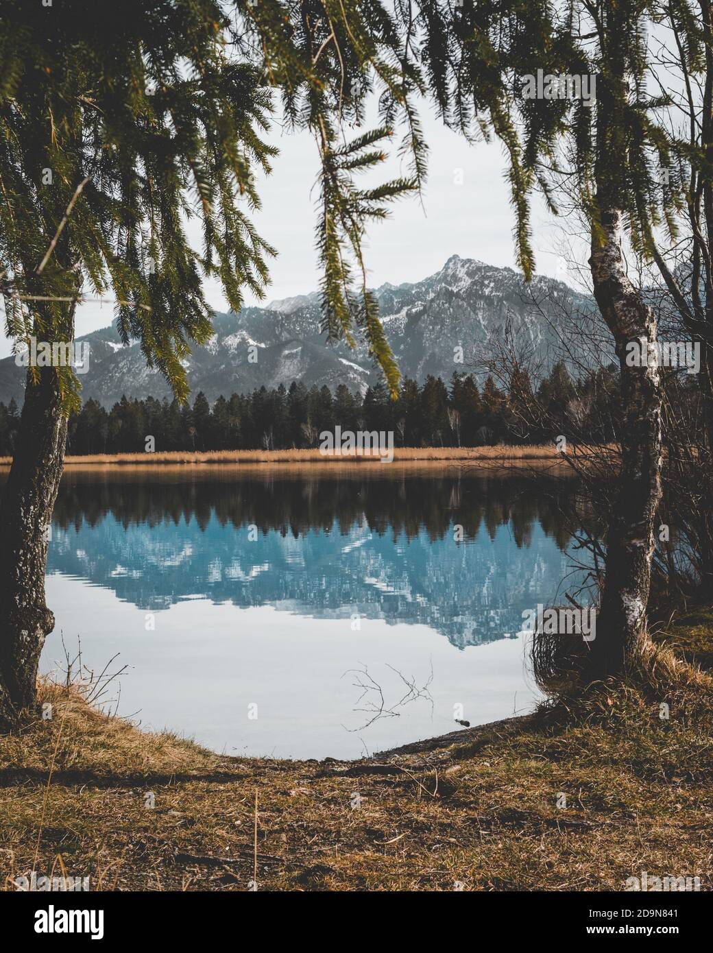 Riflessi di montagna in un lago come uno specchio - vista attraverso gli alberi Foto Stock