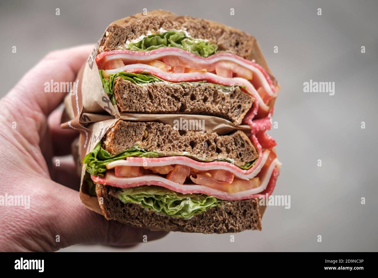 Sandwich gastronomici - salame, formaggio, fette e pomodori, pane integrale, primo piano. Foto Stock