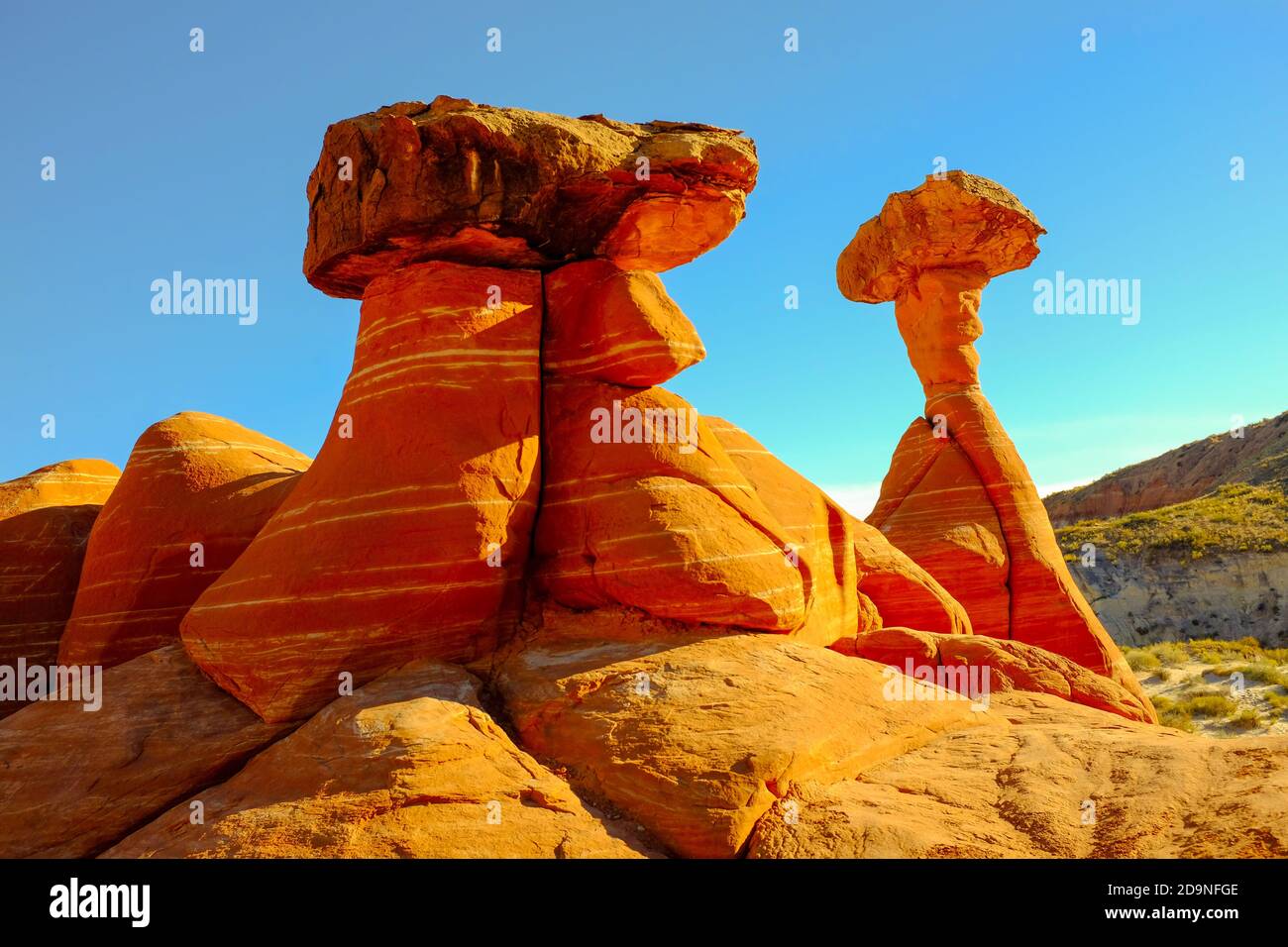 Toadsgools del Grand Staircase-Escalante National Monument, Utah Foto Stock