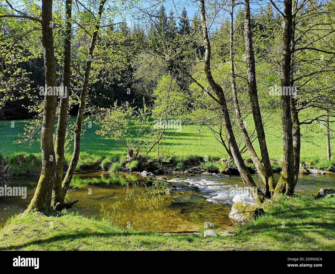 Mulino di pietra in alta Austria Haslach an der Mühl in Il Mühlviertel in primavera Foto Stock