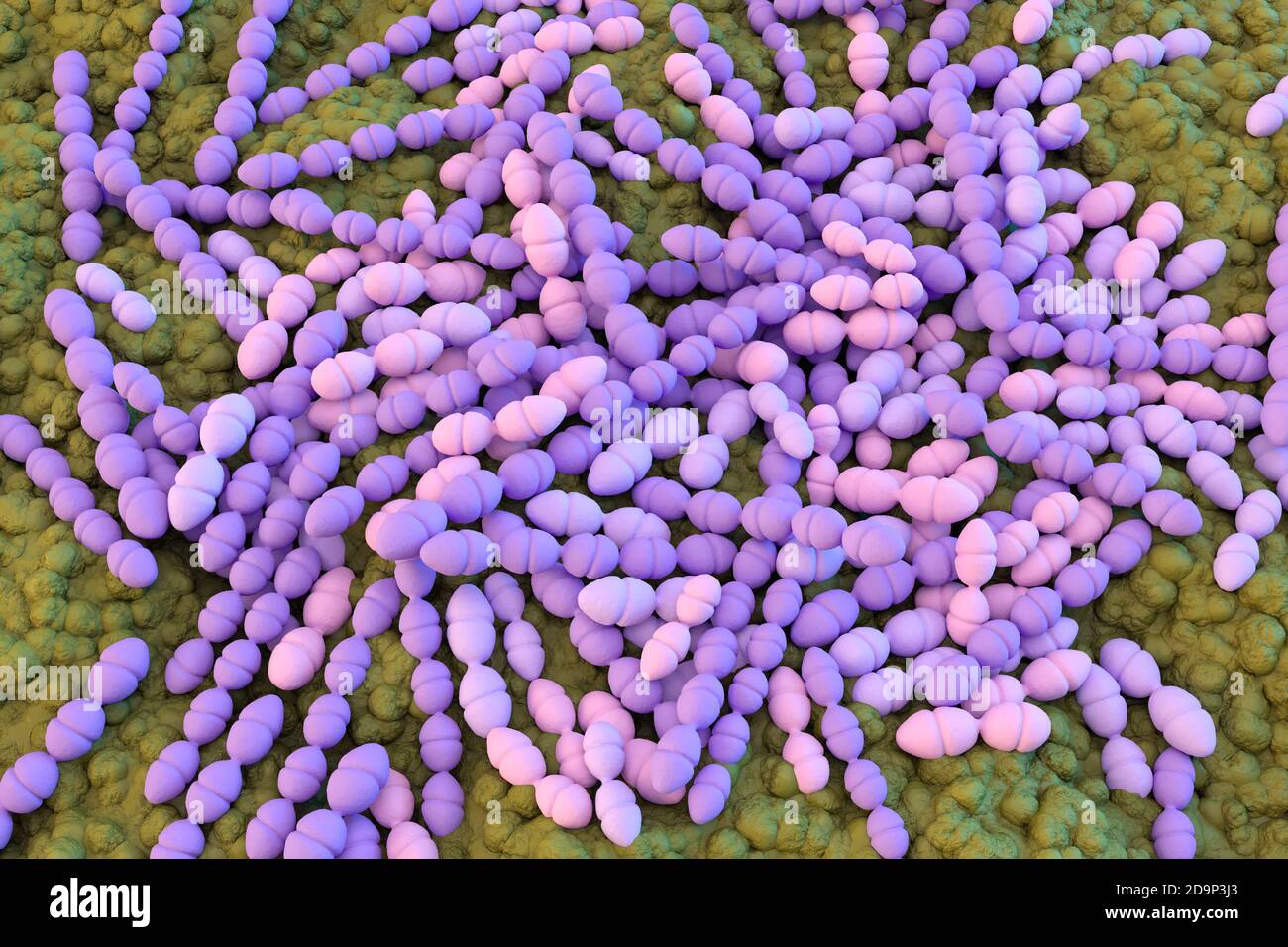 Illustrazione 3d di Streptococcus mutans. S. mutans è un coccoide forma,  Gram-positivi, batteri anaerobici che fa parte della flora batterica  normale di Foto stock - Alamy