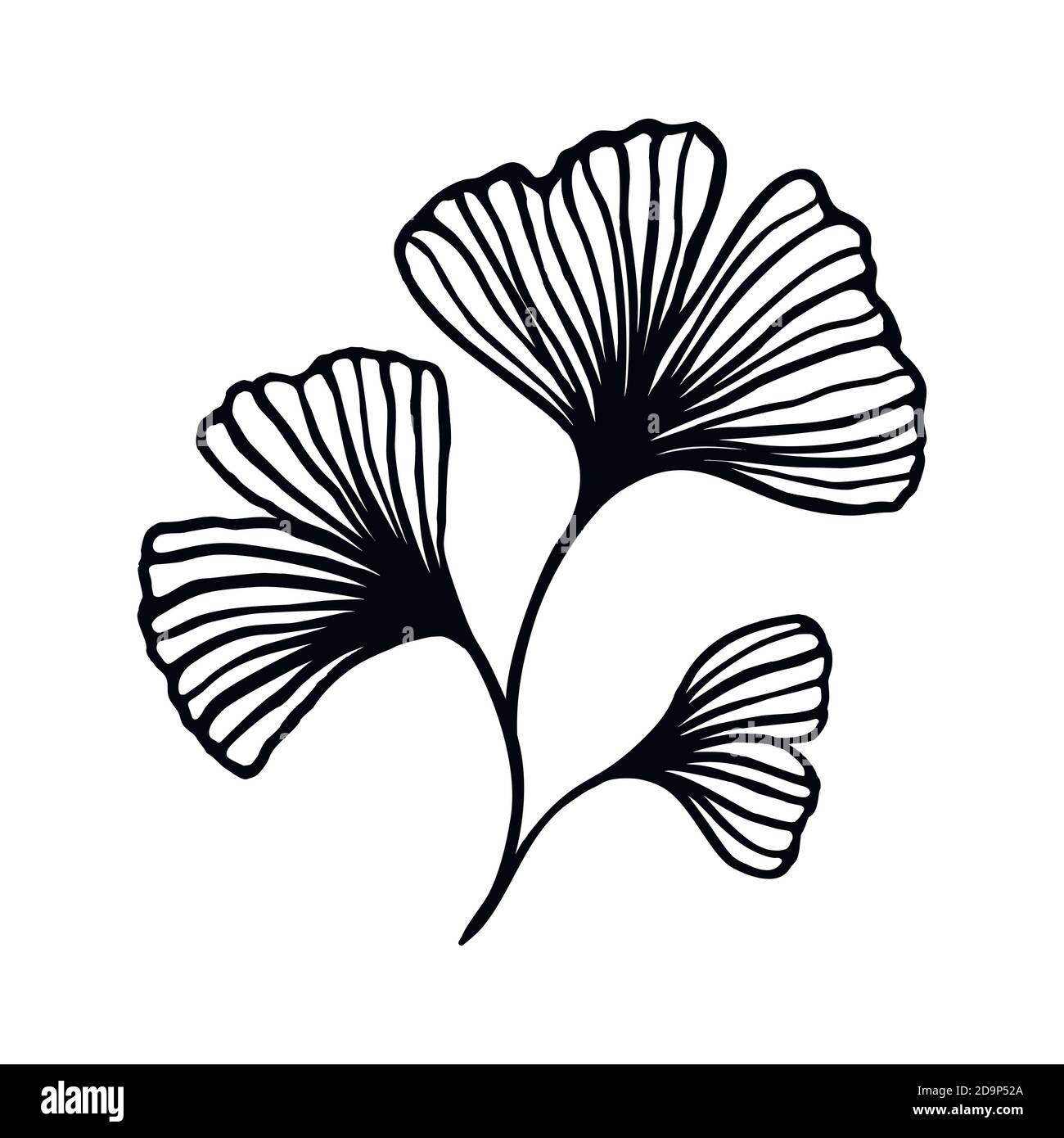 Ramo di Ginkgo biloba con le foglie tracciate a mano linea di contorno. Arte floreale vettoriale in uno stile minimalista alla moda. Per Logo, inviti Illustrazione Vettoriale