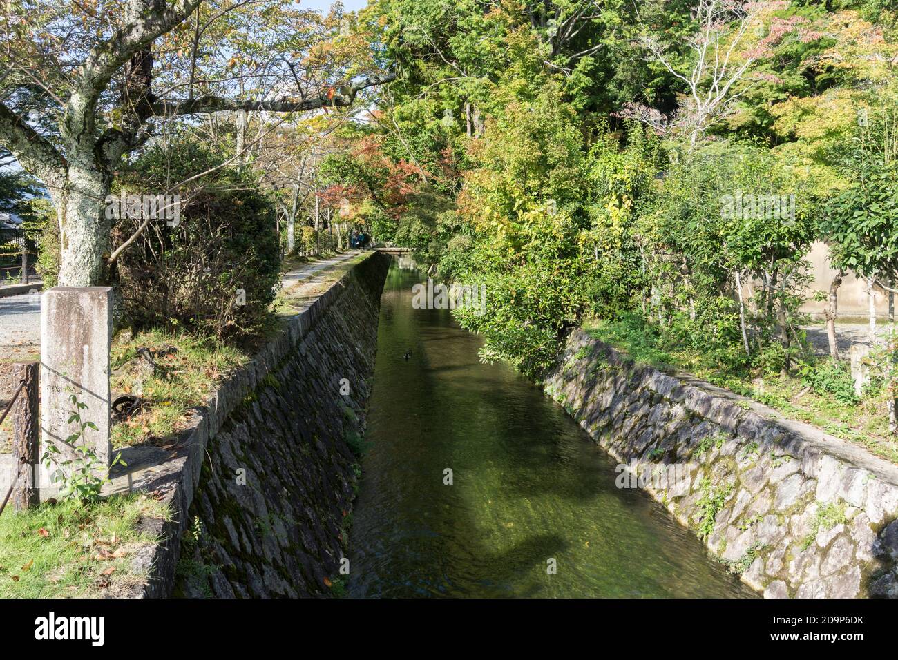 Vista del sentiero dei Filosofi (哲学の道, Tetsugaku no michi), un percorso in pietra lungo un canale attraverso la parte settentrionale del quartiere Higashiyama di Kyoto. Foto Stock